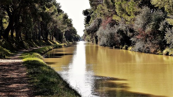 Découvrez les Meilleurs Emplacements de Mobil-homes dans l'Aude (11) pour des Vacances Inoubliables